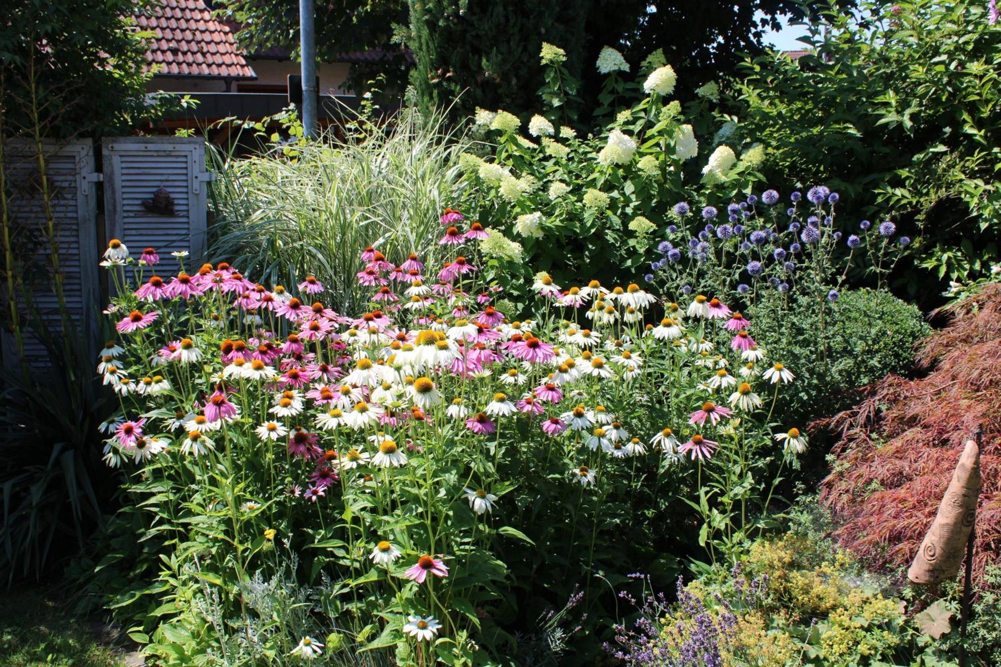 Apartment Im Garten Gengenbach Εξωτερικό φωτογραφία