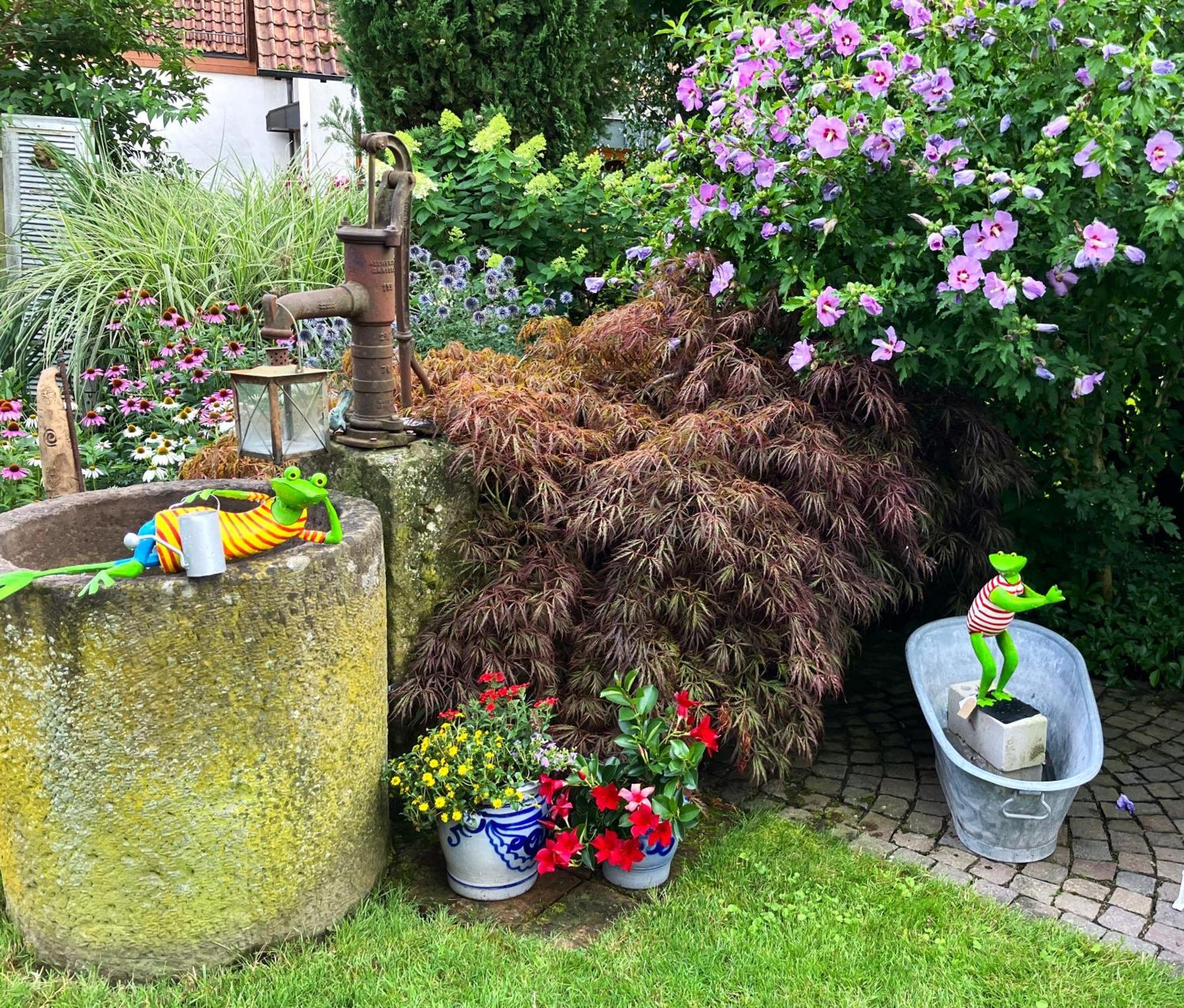 Apartment Im Garten Gengenbach Εξωτερικό φωτογραφία